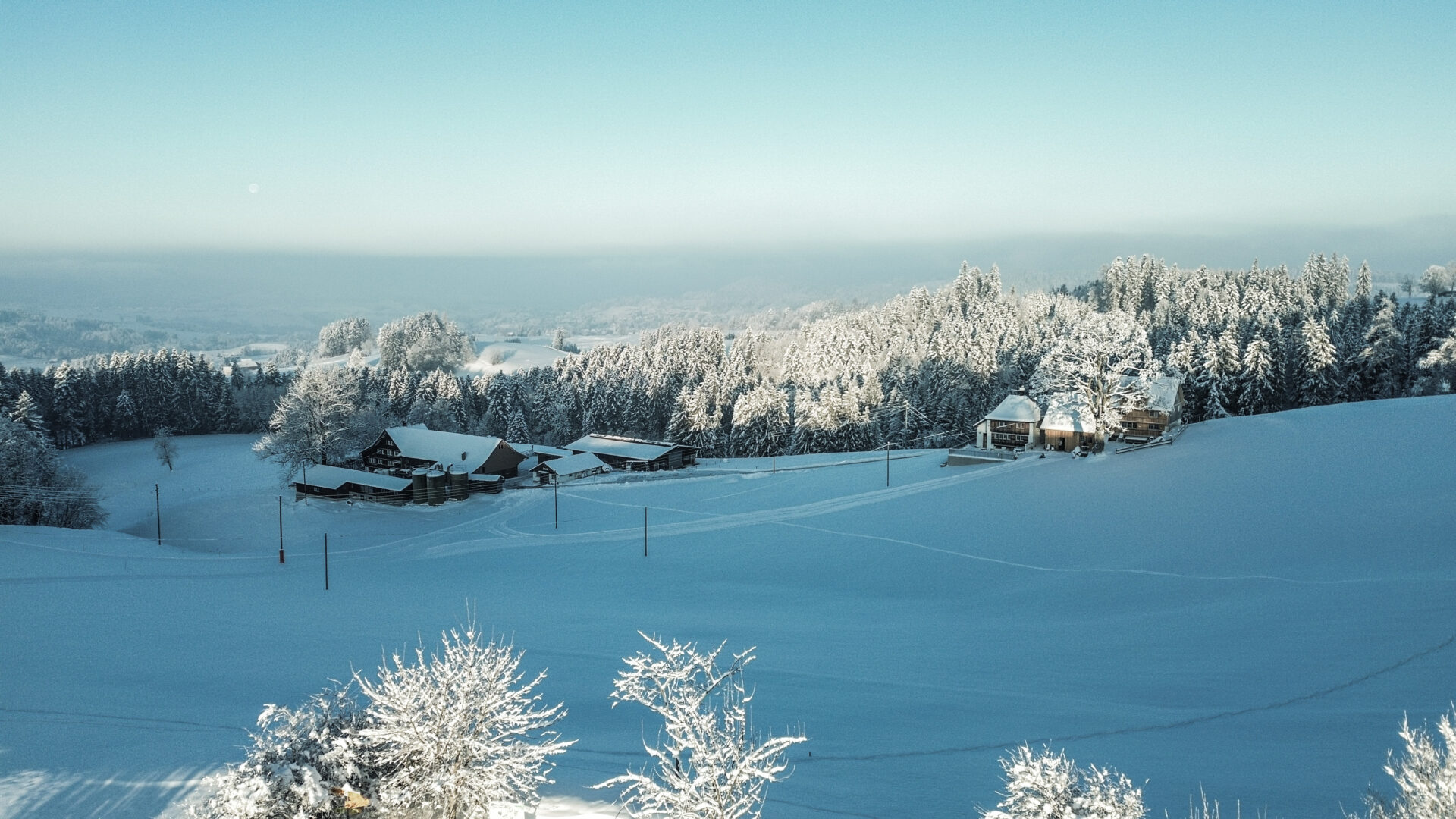 DJI_0080